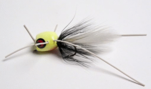 Betts Marathon Wiggle Pop