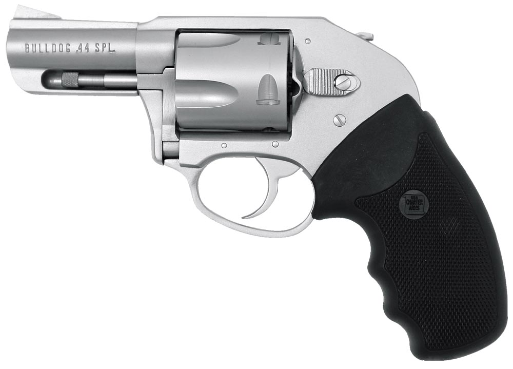 Charter Arms Bulldog On Duty