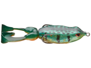Gambler Swimming Frog