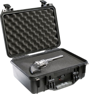 Pelican Protector Case