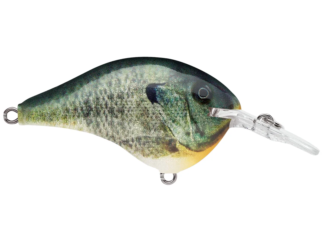 Rapala Divesto6 Crankbait