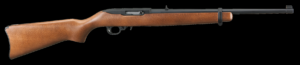 Ruger 10/22