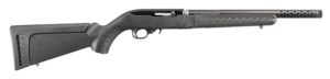 Ruger 10/22 Takedown Lite