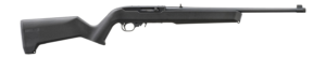 Ruger 10/22 X22
