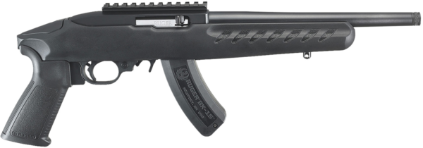 Ruger 22 Charger