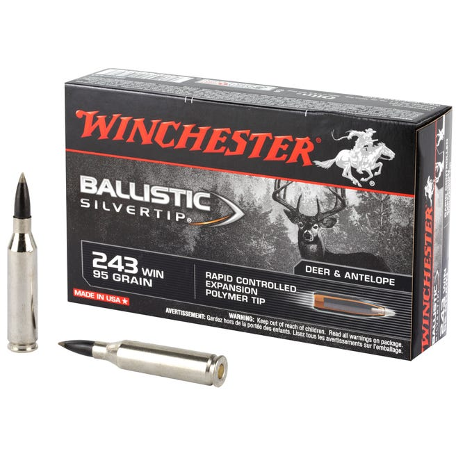 Winchester Ballistic Silvertip